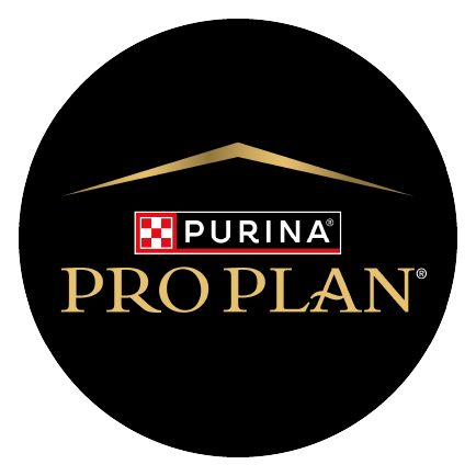 objevte_vyzivu_na_profesionalni_urovni_clanek_ikona