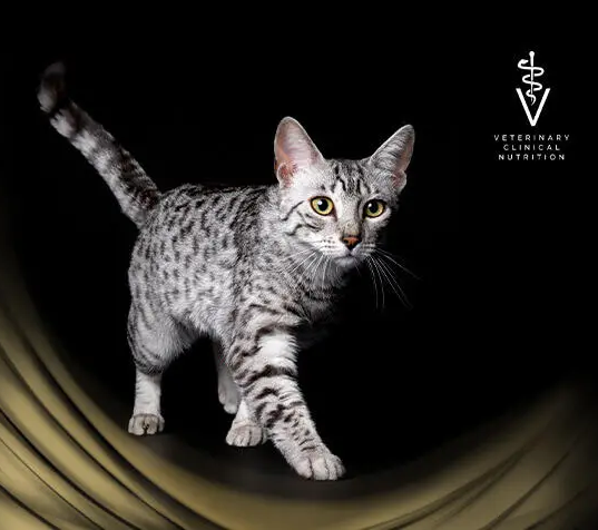 podporte_zdravi_svych_mazlicku_clanek_005_new