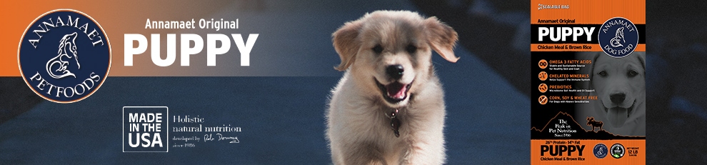 Annamaet Puppy