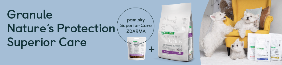 medium_banner_np_sc_dog