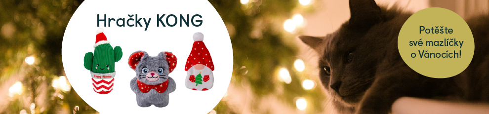 medium_banner_kong_kocka