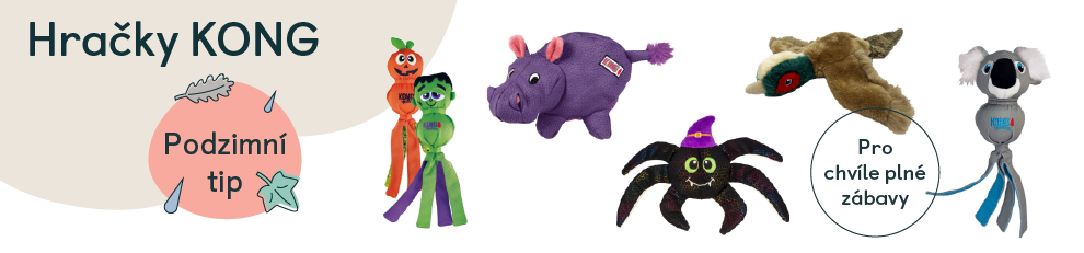 medium_banner_pt_kong