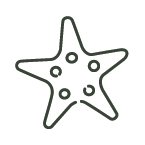 dekorace-pisky-pozadi-misky